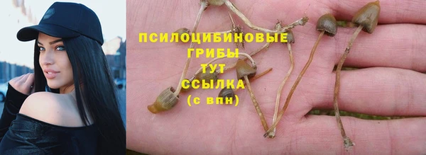ПСИЛОЦИБИНОВЫЕ ГРИБЫ Абдулино