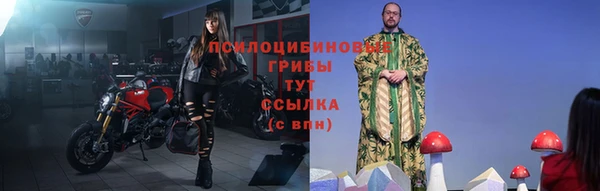 амф Абинск